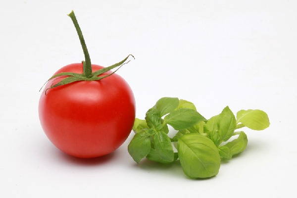 tomate manjericao