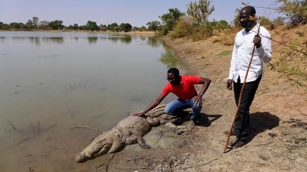 bazoule crocodilos 2