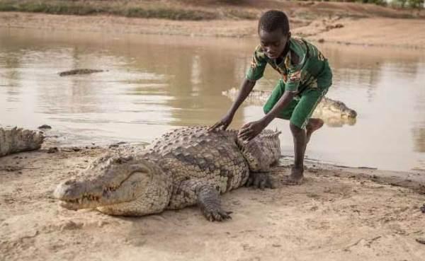 bouzule crocodilos 4jpg
