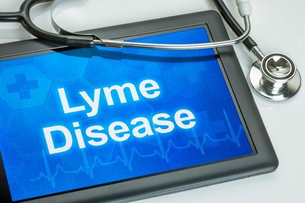 doença de lyme