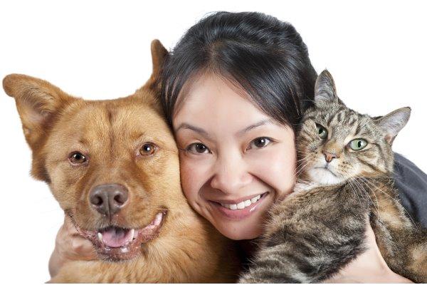 doenças cão e gato