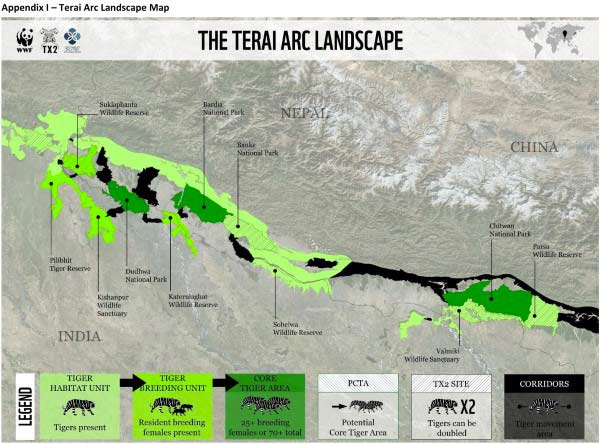 tigre mapa