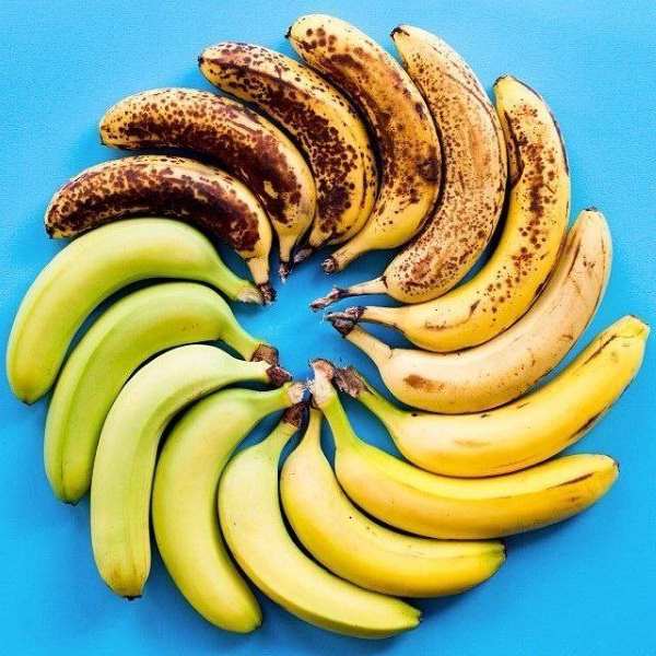 bananas maturação