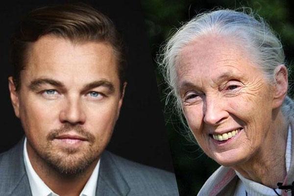 DiCaprio e Goodall