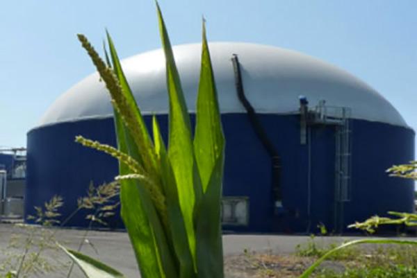 Planta de Biogás