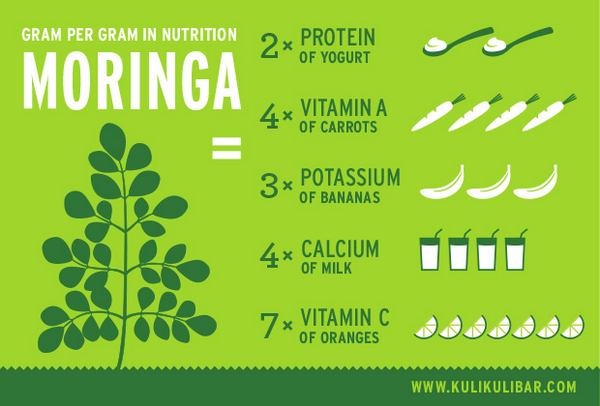 moringa infografico