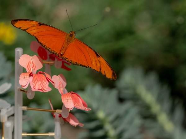 abelhas flores 3d 1