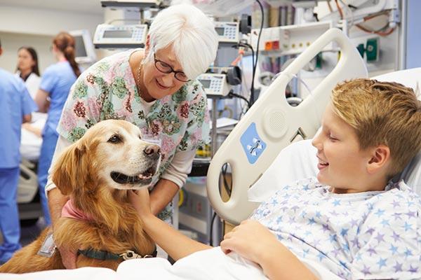 Animais de estimação nos hospitais