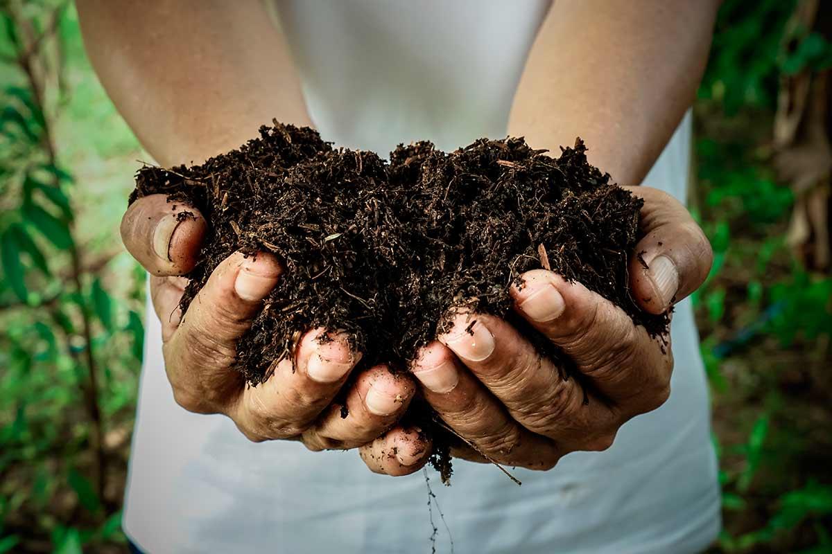 Compostagem caseira