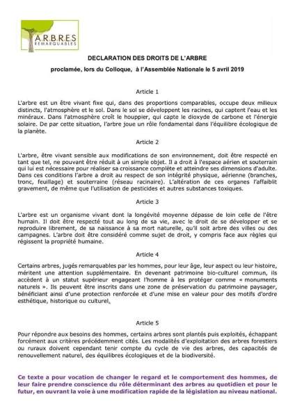 declaracao direitos arvore 2