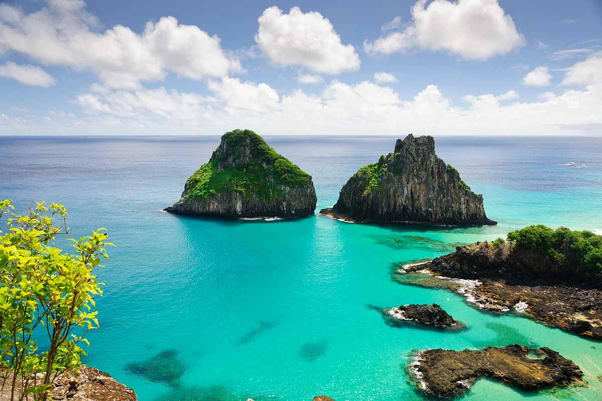 Noronha-plastico