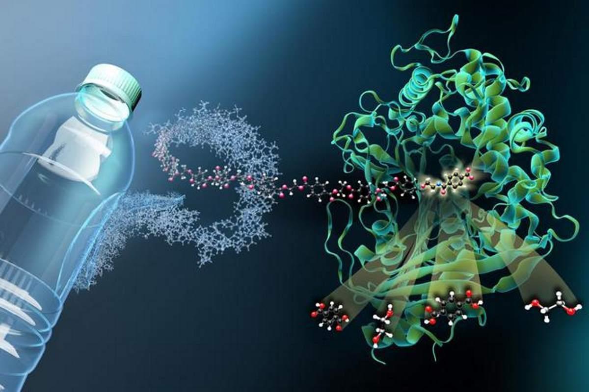 bacterias-comem-plastico