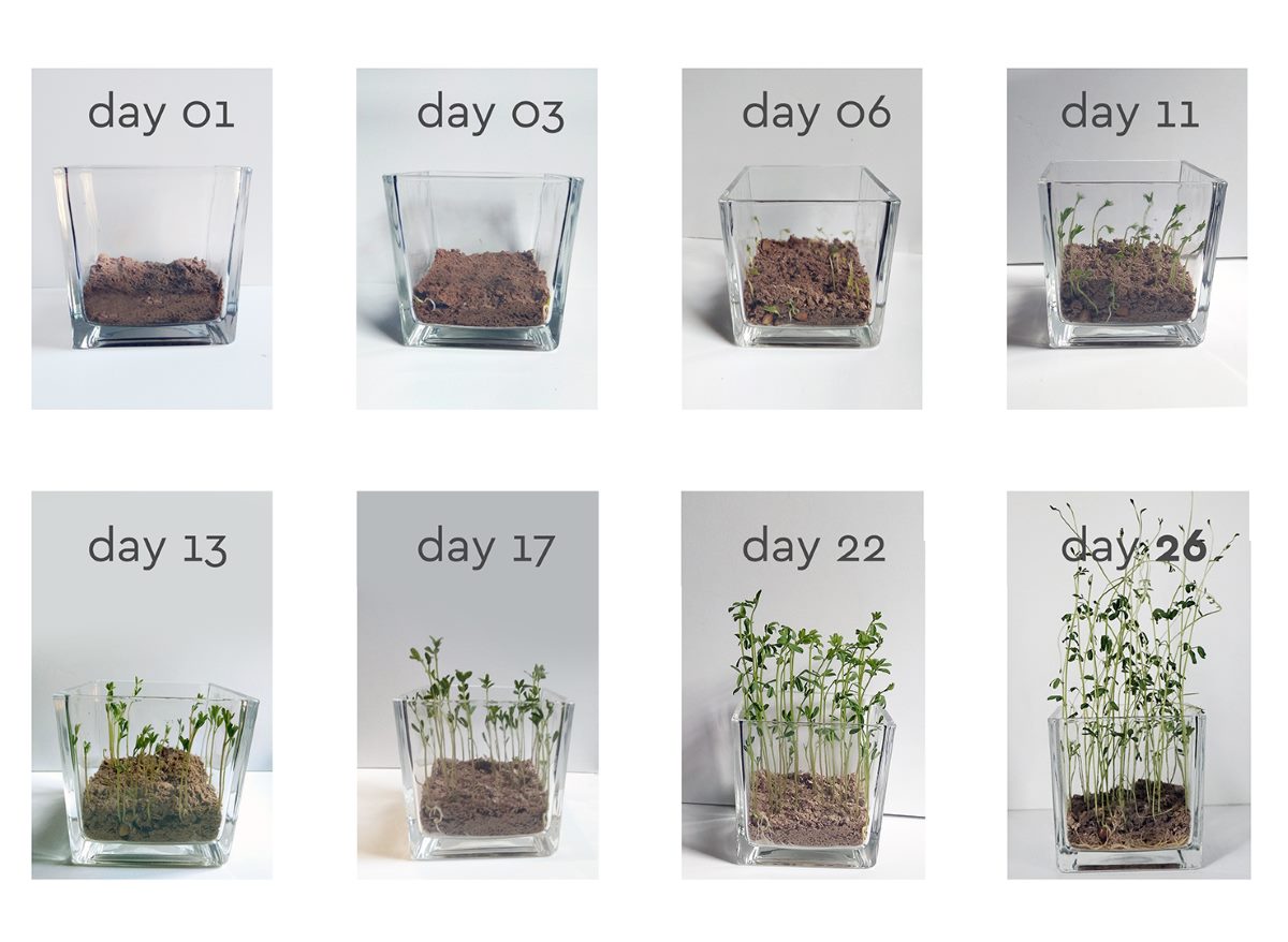 biopack 2