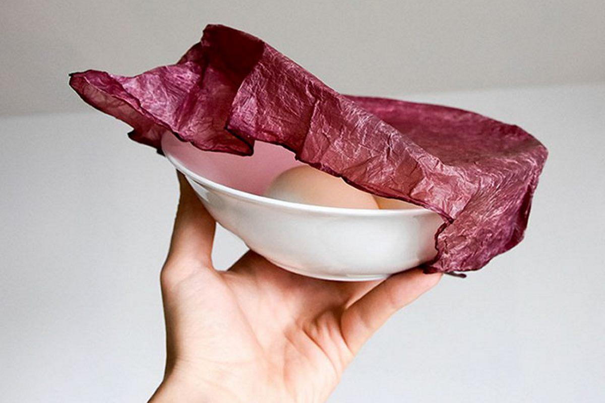 embalagem biodegradável