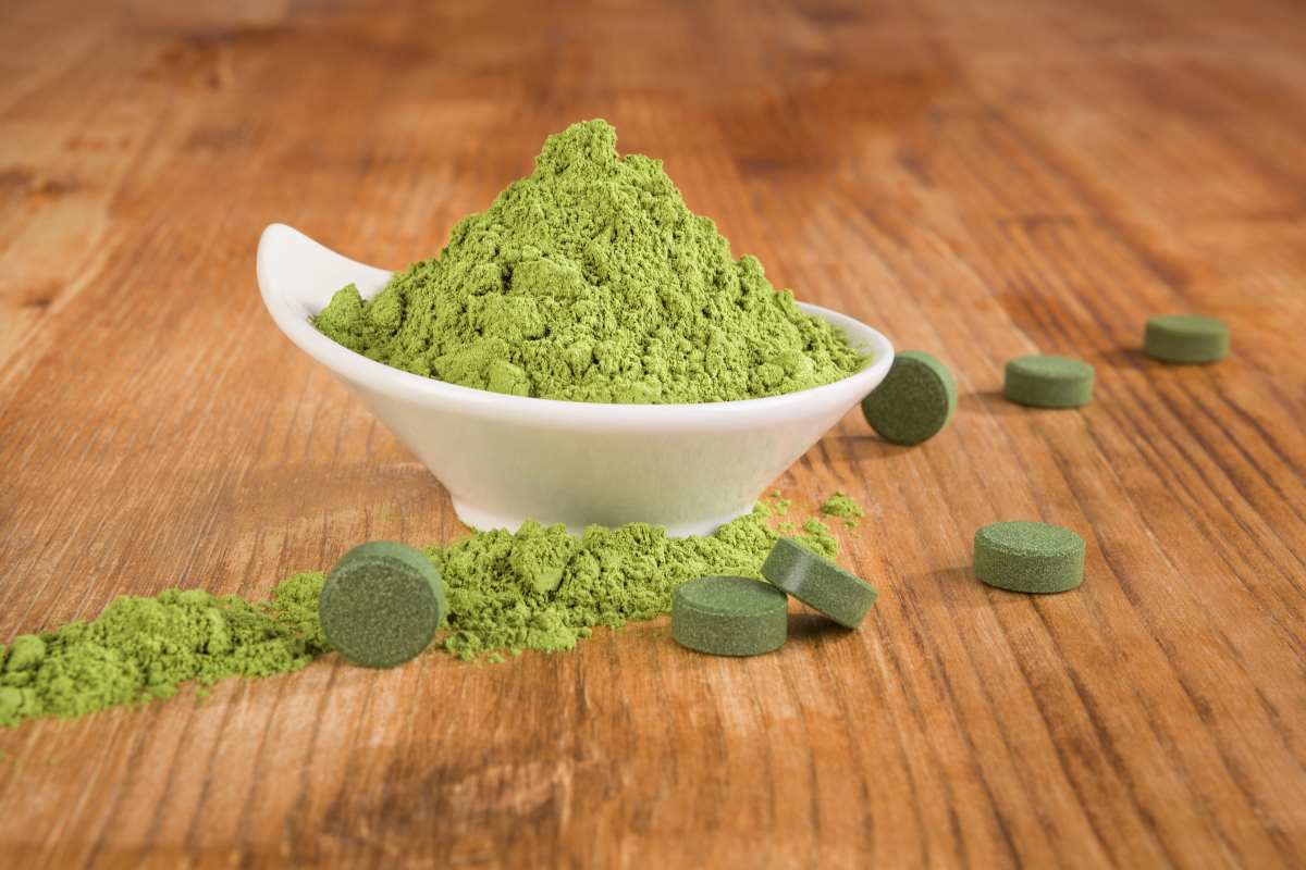 chlorella 2