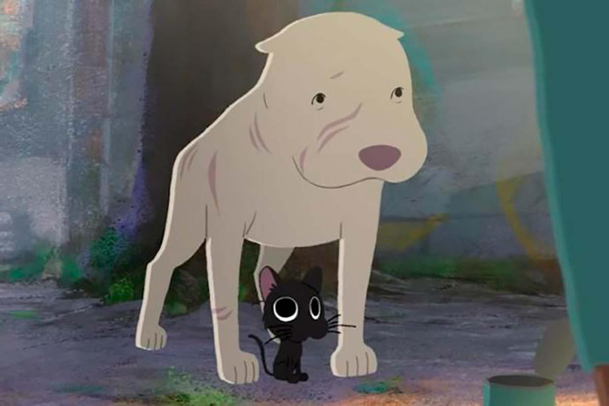 Resultado de imagem para Kitbull