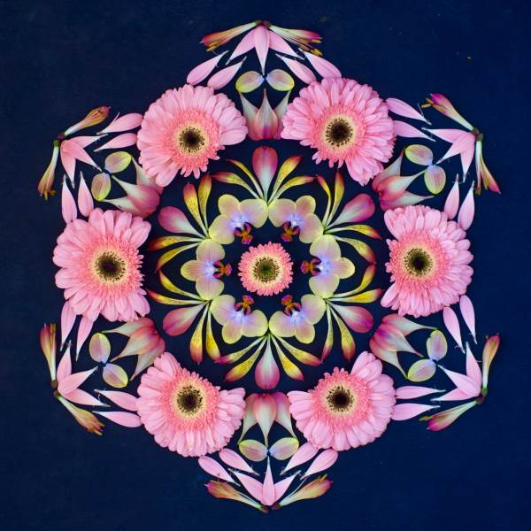 mandala flores 11