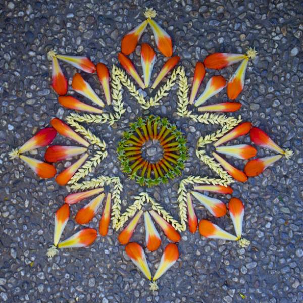 mandala flores 5