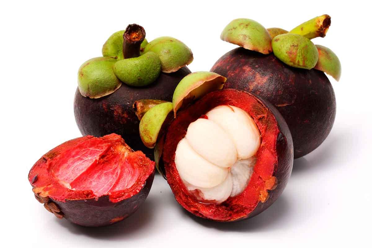 Mangostão