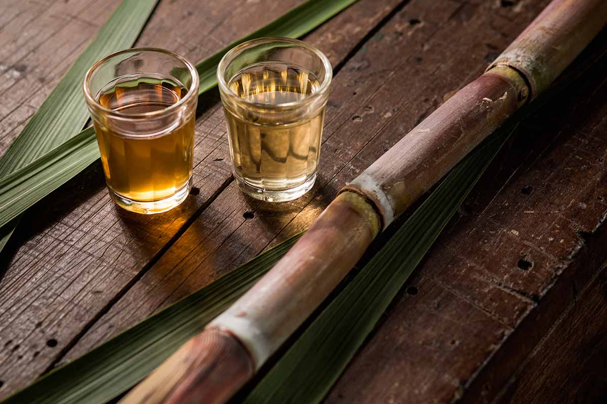 cachaça