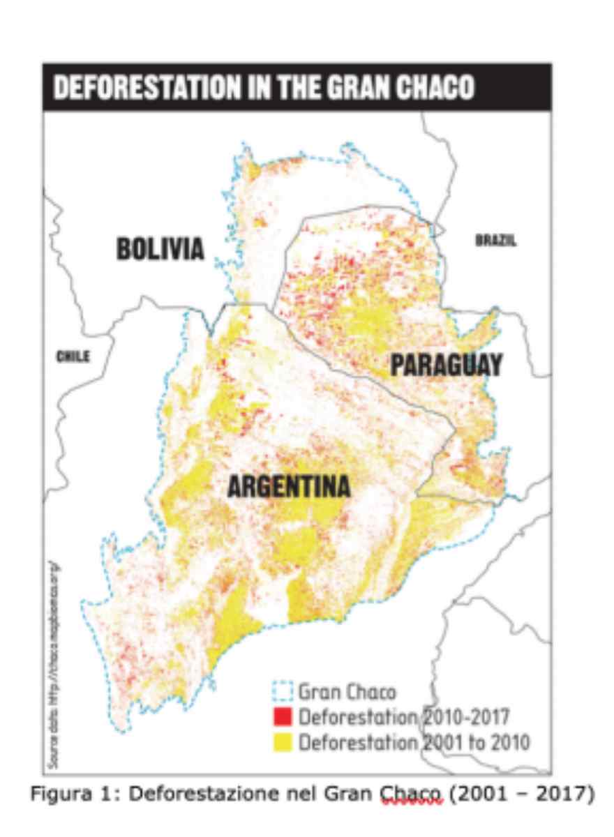 desmatamento chaco mapa