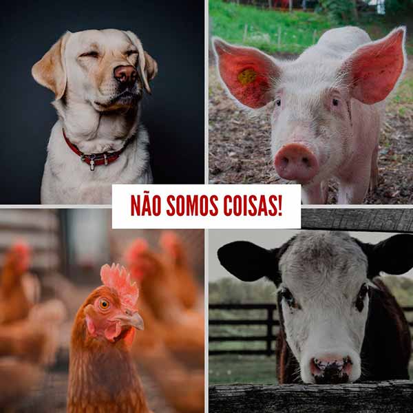 nao somos coisas