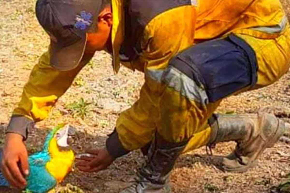 incendios-bolivia