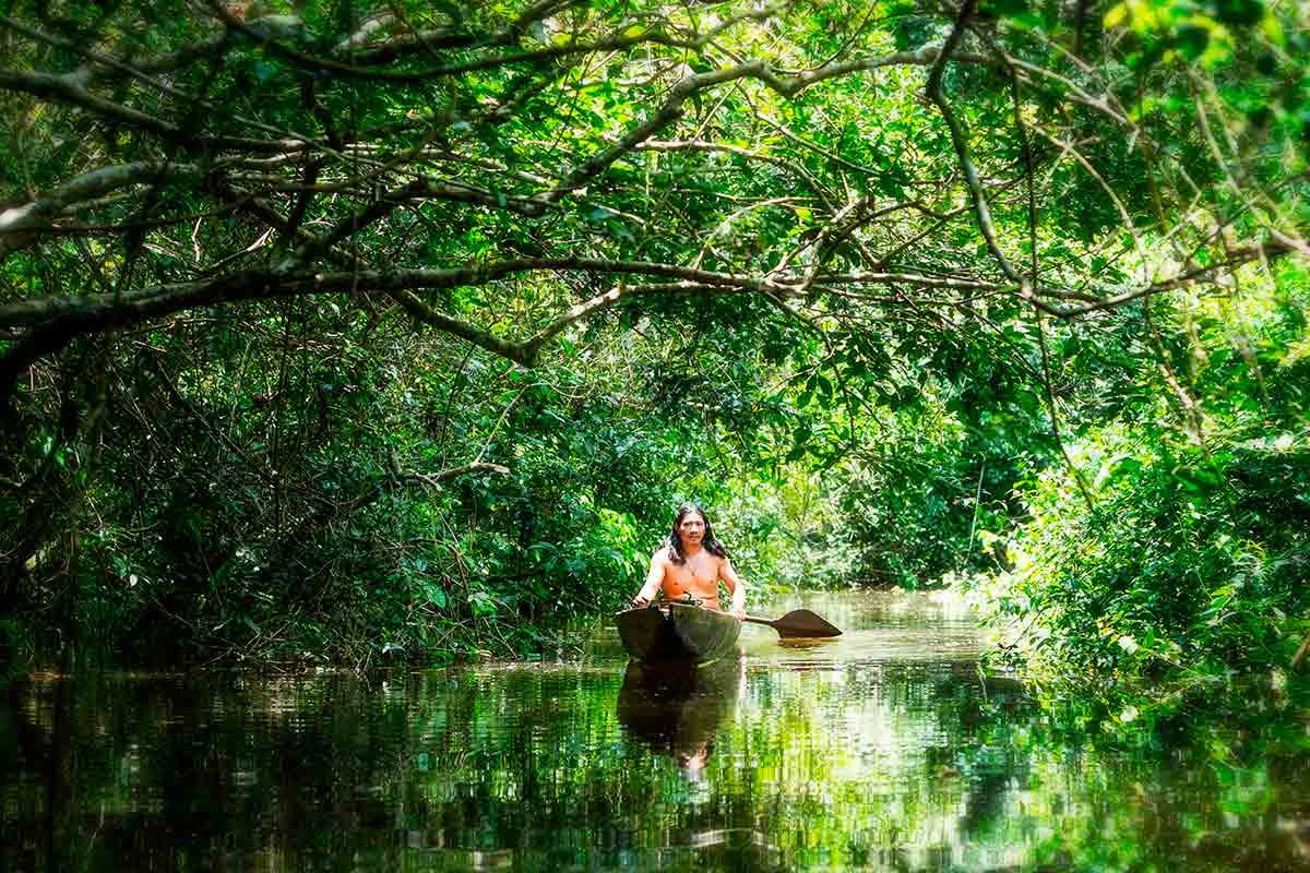 Dia da Amazônia