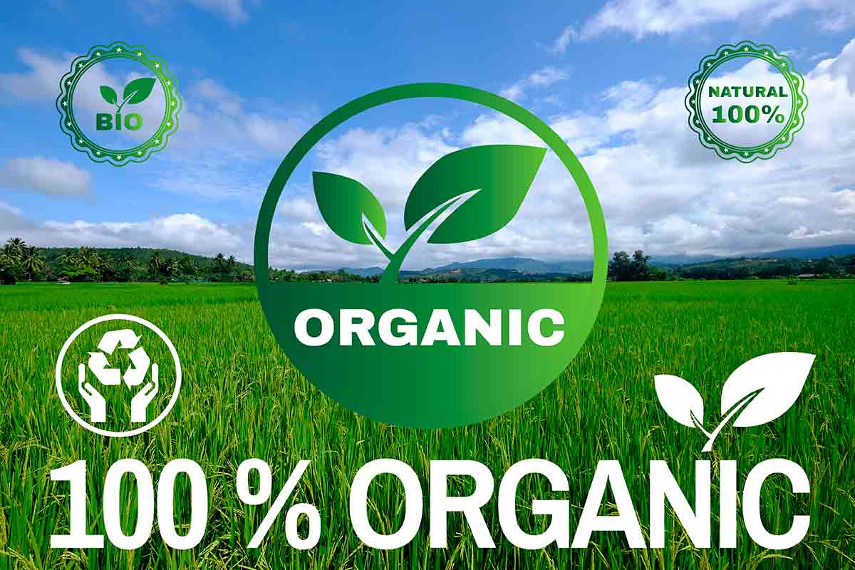100% orgânico