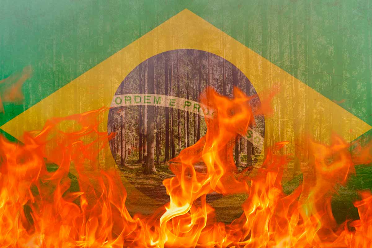 Brasil em chamas