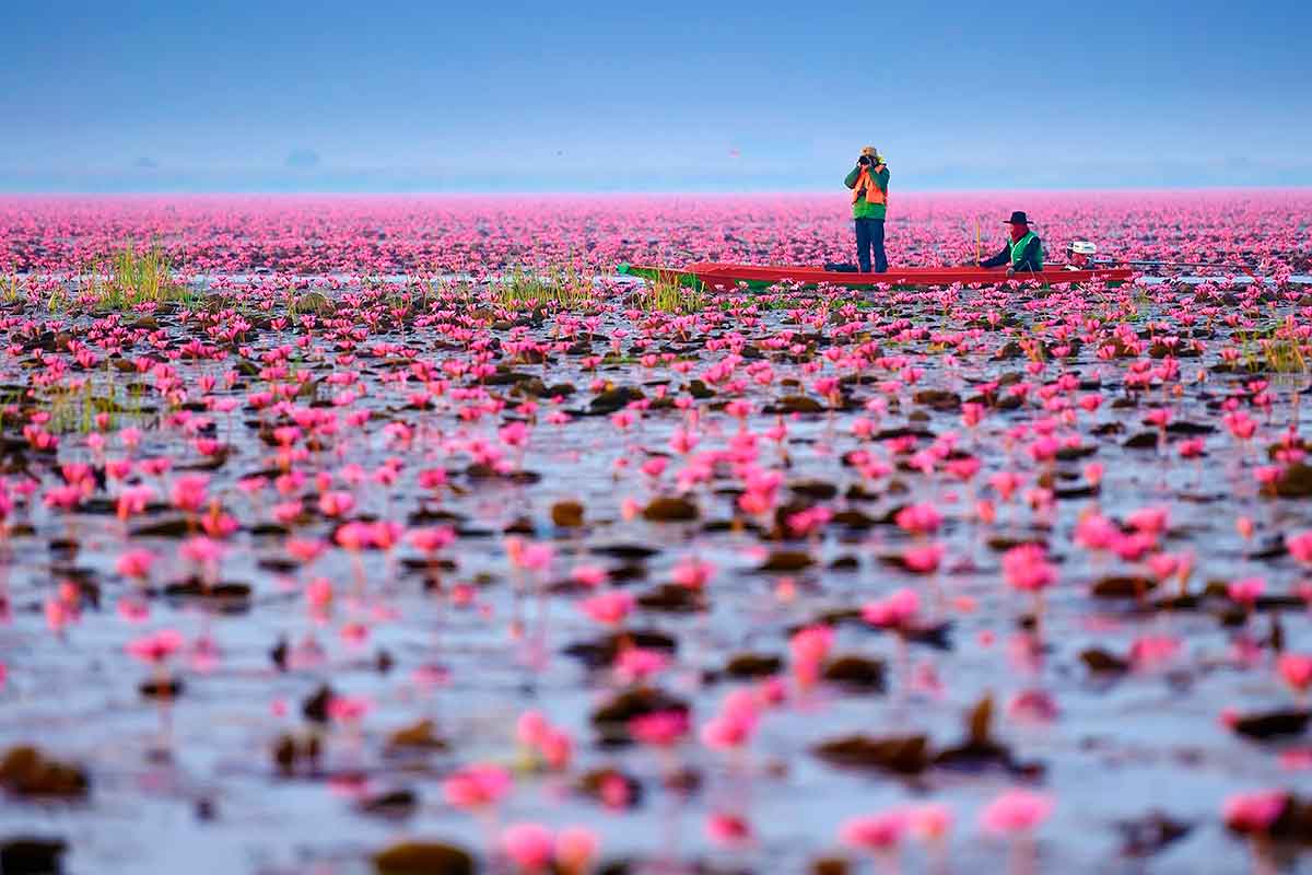 Lago Nong Han