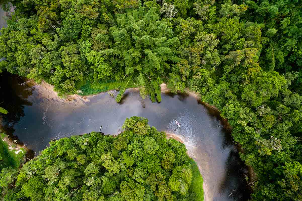 Floresta amazônica