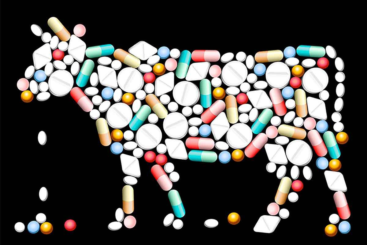 agropecuária uso antibióticos