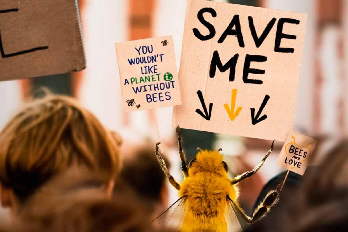 Bee influencer
