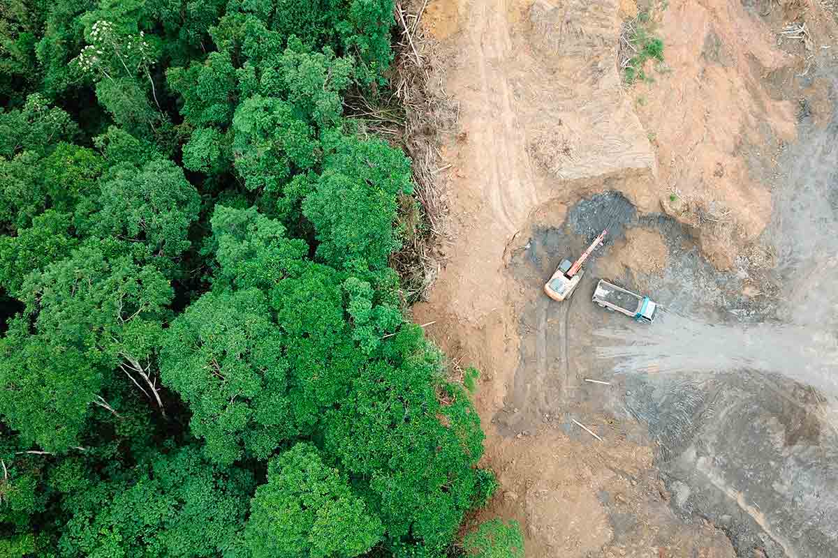 desmatamento da Amazônia