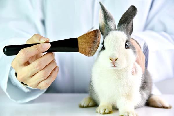teste animal