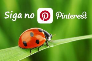 Siga no Pinterest