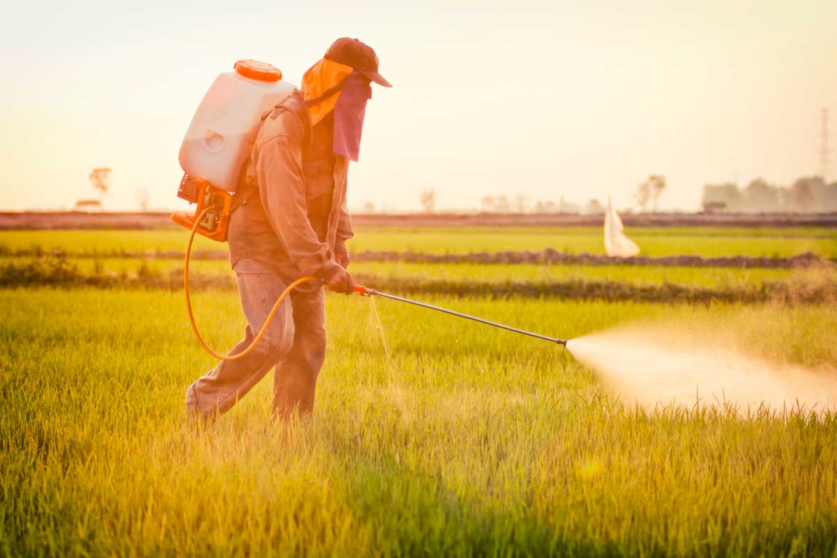 Alimentos industrializados e agrotóxicos estão alterando a química do corpo humano