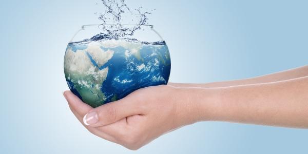 Importância ecológica da Água 