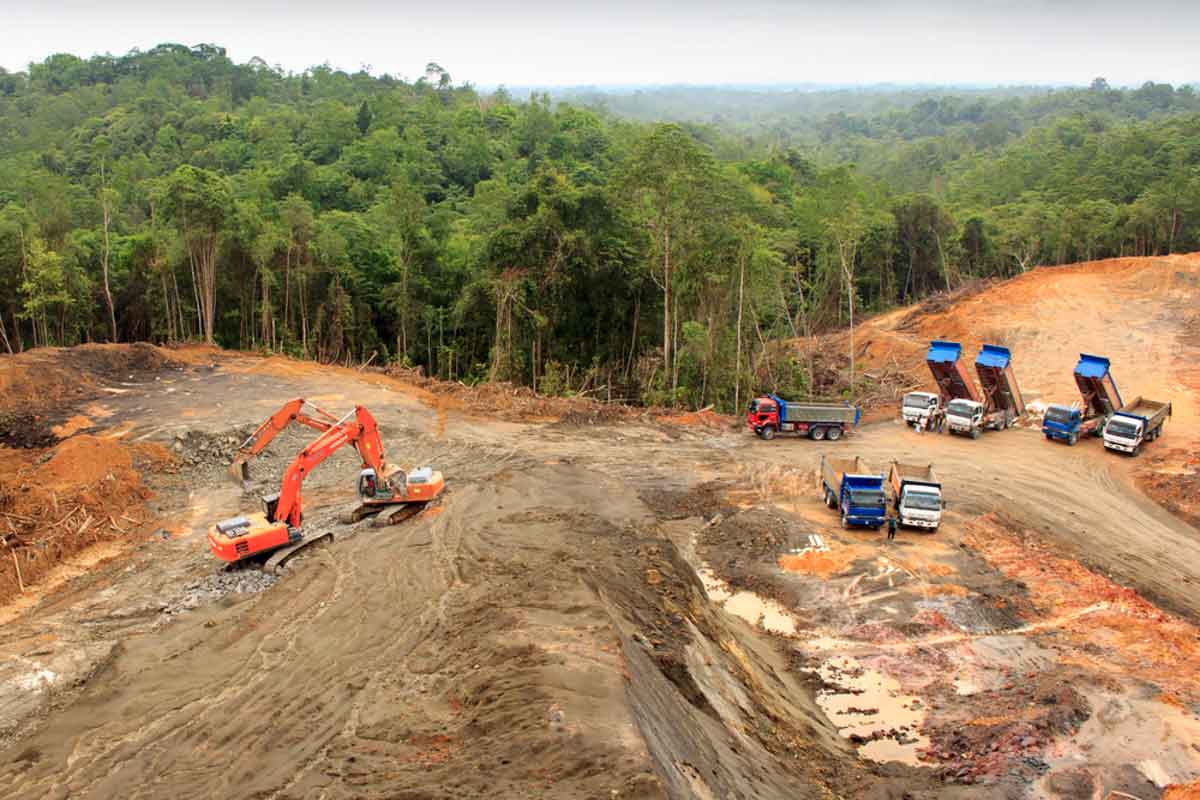 mato-grosso-em-via-de-ampliar-o-limite-para-extra-o-de-madeira-sem