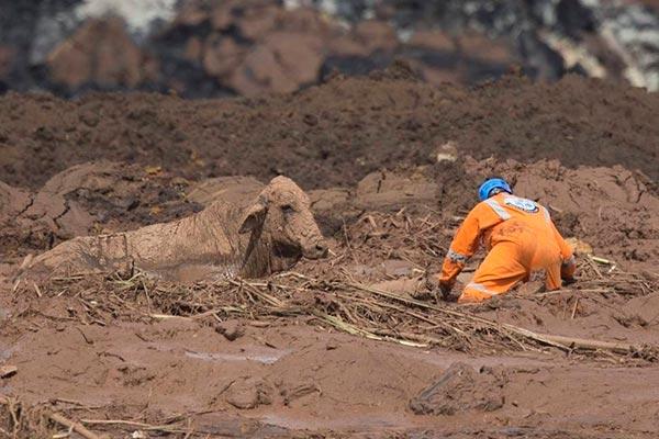 Na prática, do que se trata o PL 3729/04 sobre licenciamento ambiental que o Congresso quer aprovar?