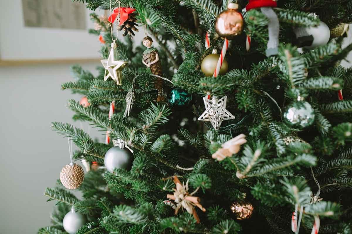Qual é o dia certo de montar a árvore de Natal em 2022? - greenMe