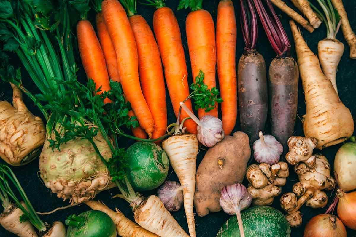 Prefeito investe no fortalecimento da agricultura familiar: alimento para todos