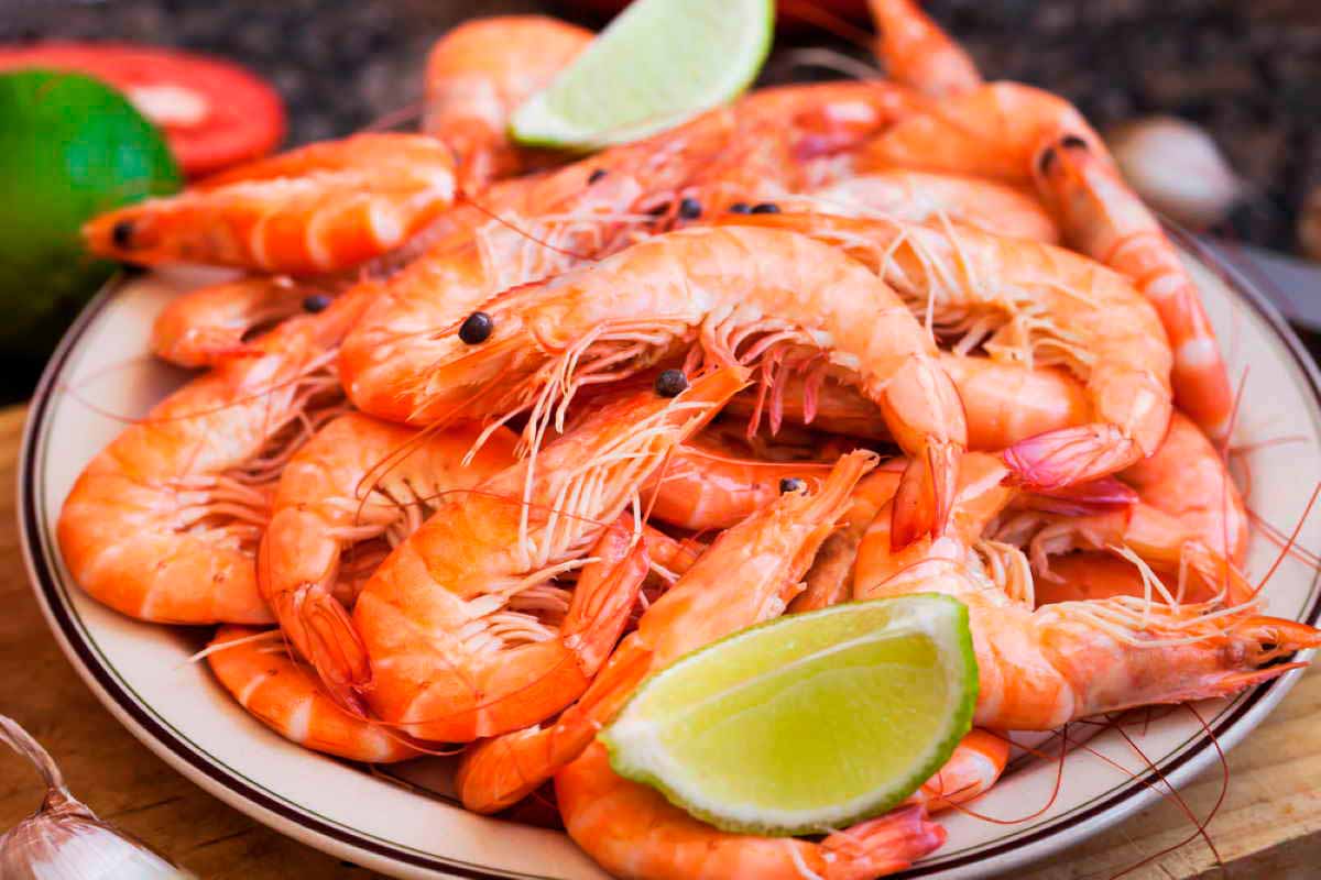 Por que não se deve comer camarão?