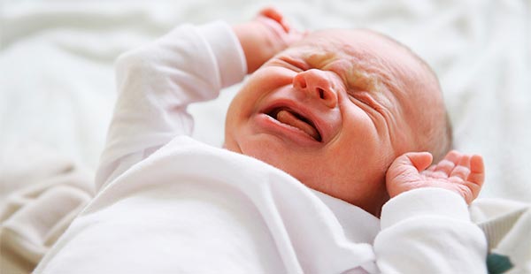 Cólica em recém-nascido: posso dar chá? O que fazer? - greenMe