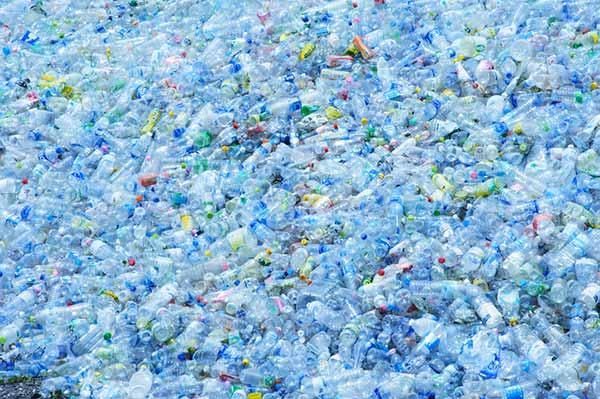Reciclagem transforma garrafas plásticas em baunilha. Como assim? Isso mesmo!