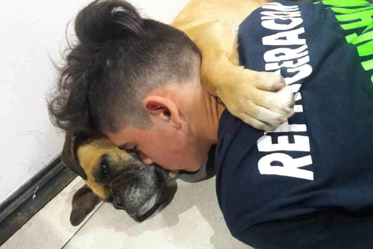 Собака скончалась. Собака скончалась. Собака скончалась. Собачья смерть для предателей. Дохлый маленький щенок.