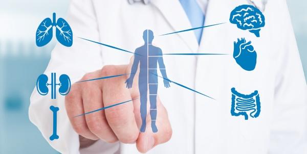 Medicina alternativa: integração corpo, mente e órgãos