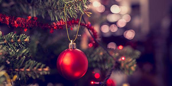 O Verdadeiro Significado do Natal - greenMe O Verdadeiro Significado do Natal - greenMe