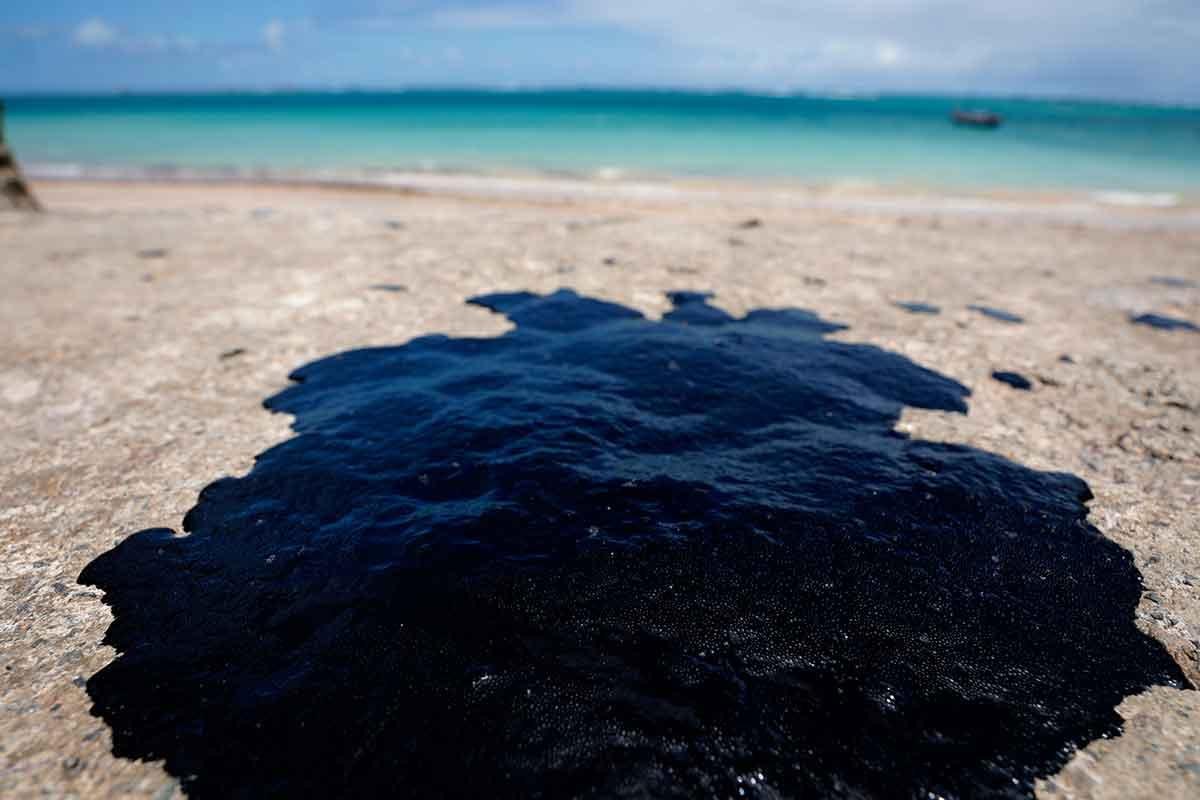 CPI do óleo derramado no Nordeste termina em pizza
